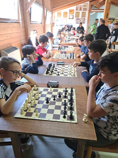 » 内雷托老年青少年俱乐部举办的“学校国际象棋锦标赛”